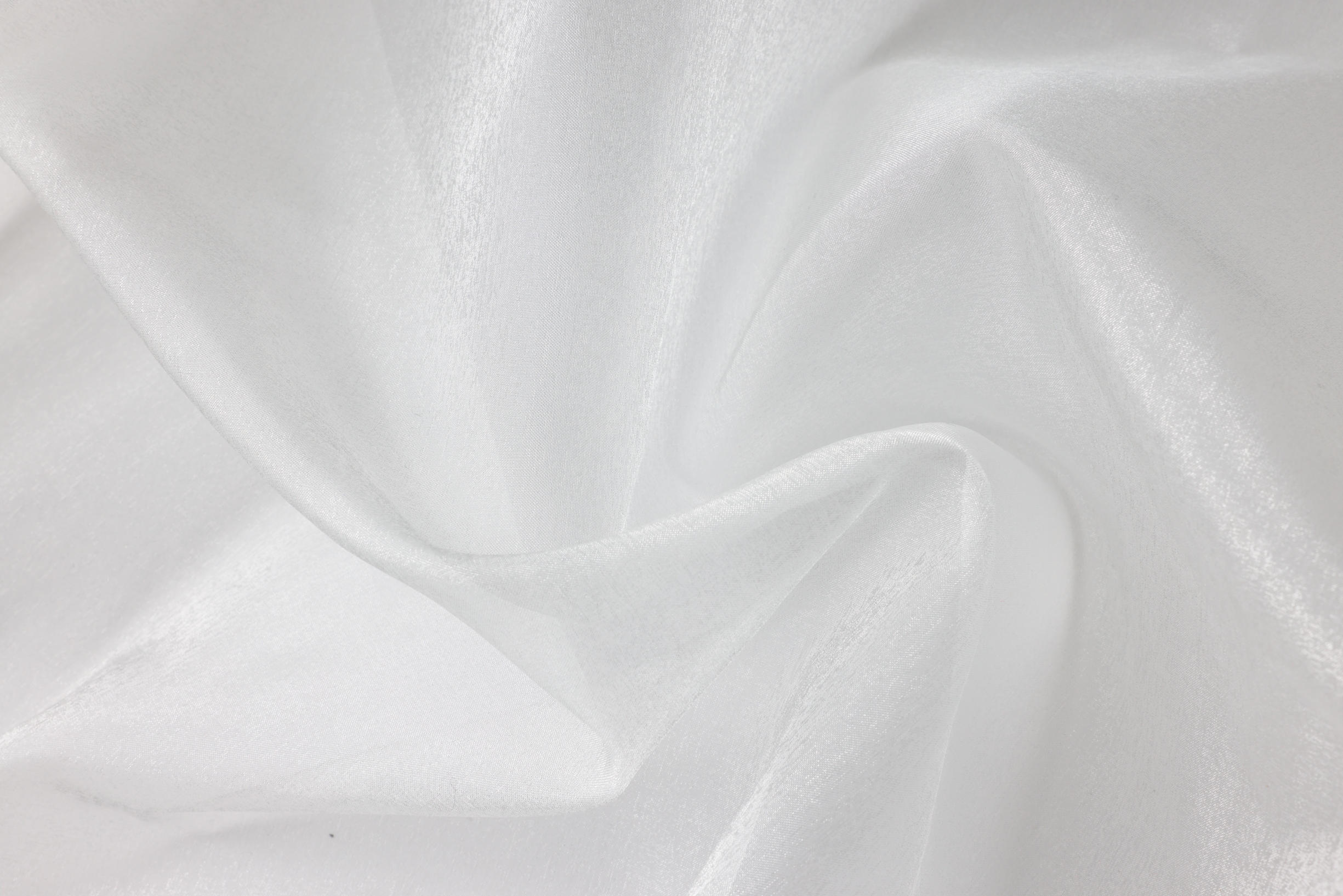 布 白 オーガンジー