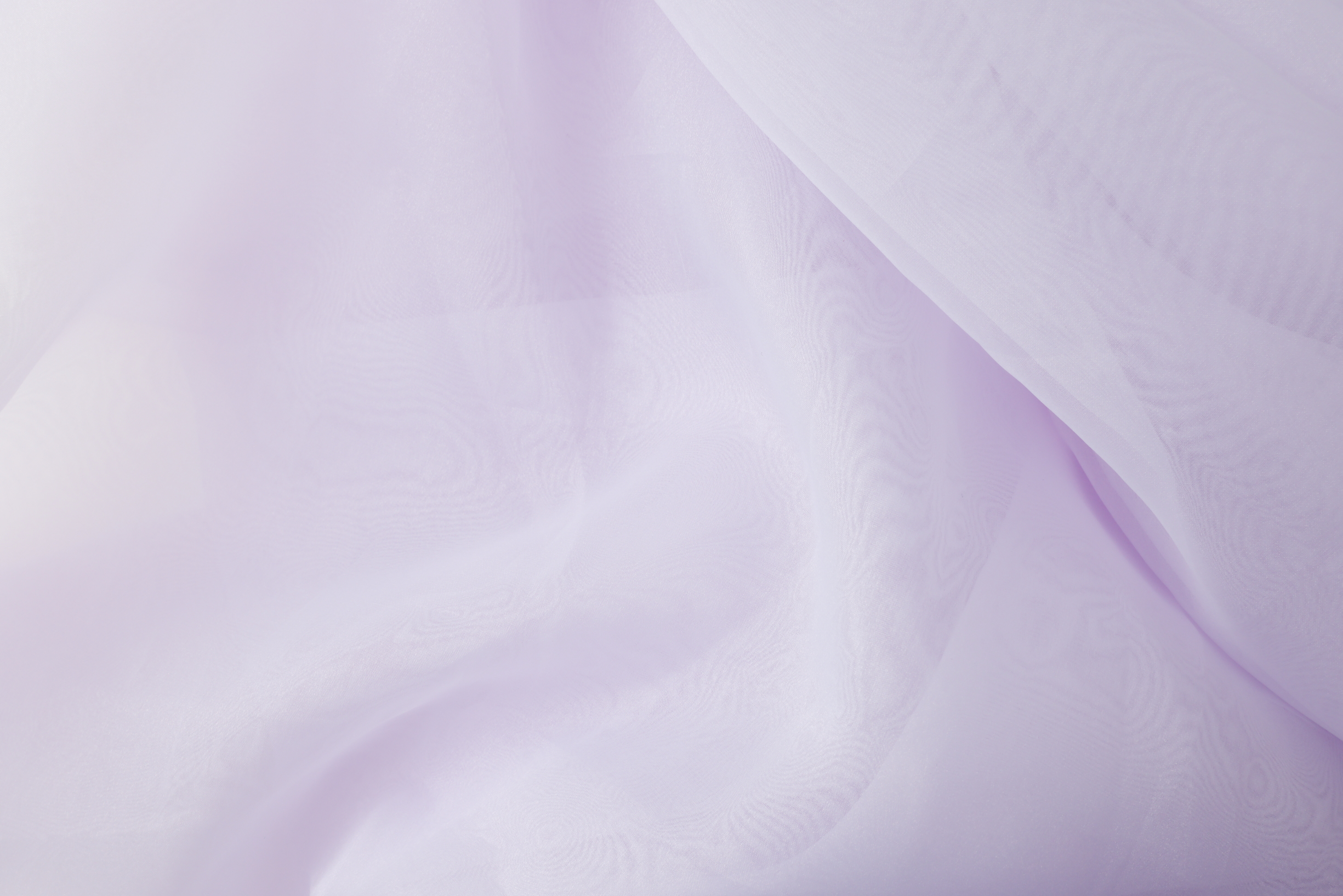 布 パープル オーガンジー