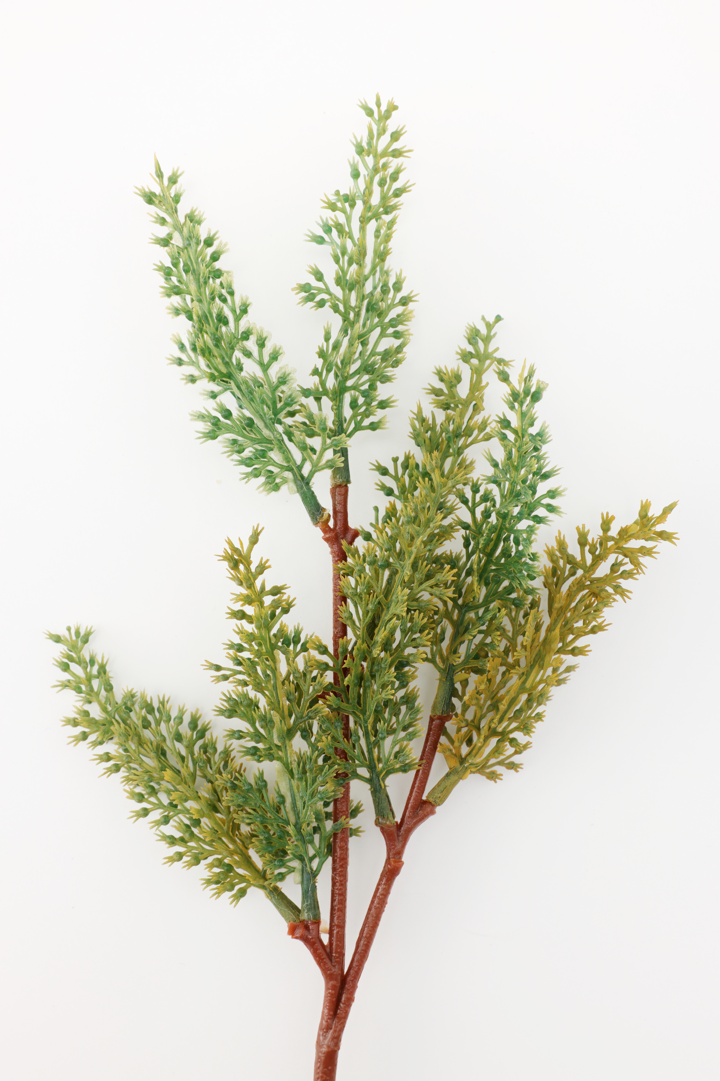 フェイクグリーン