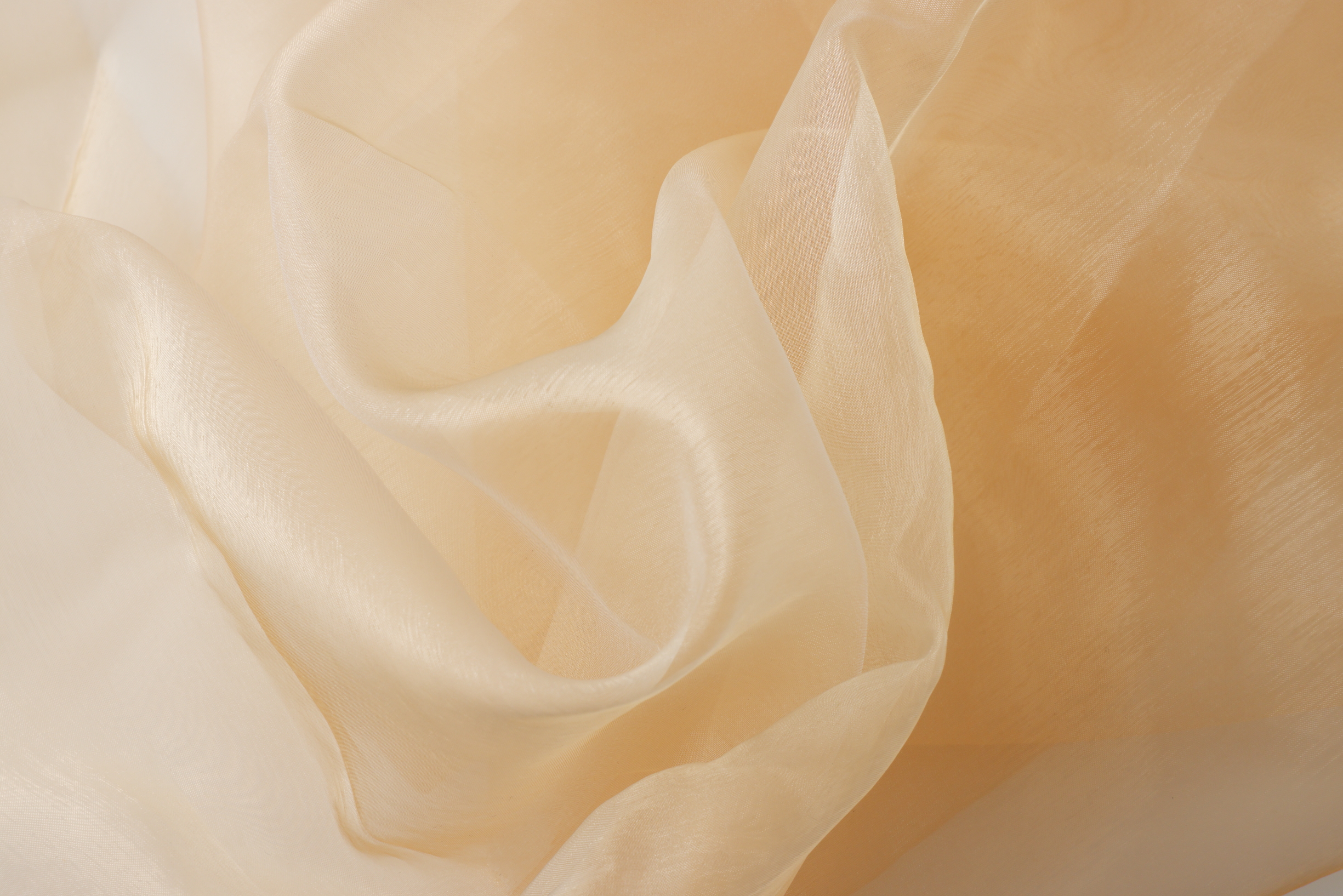 布 オレンジ オーガンジー