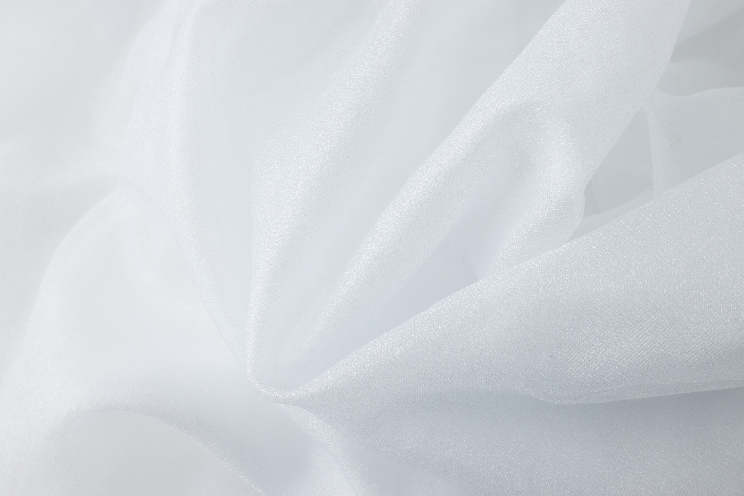 布 白 オーガンジー