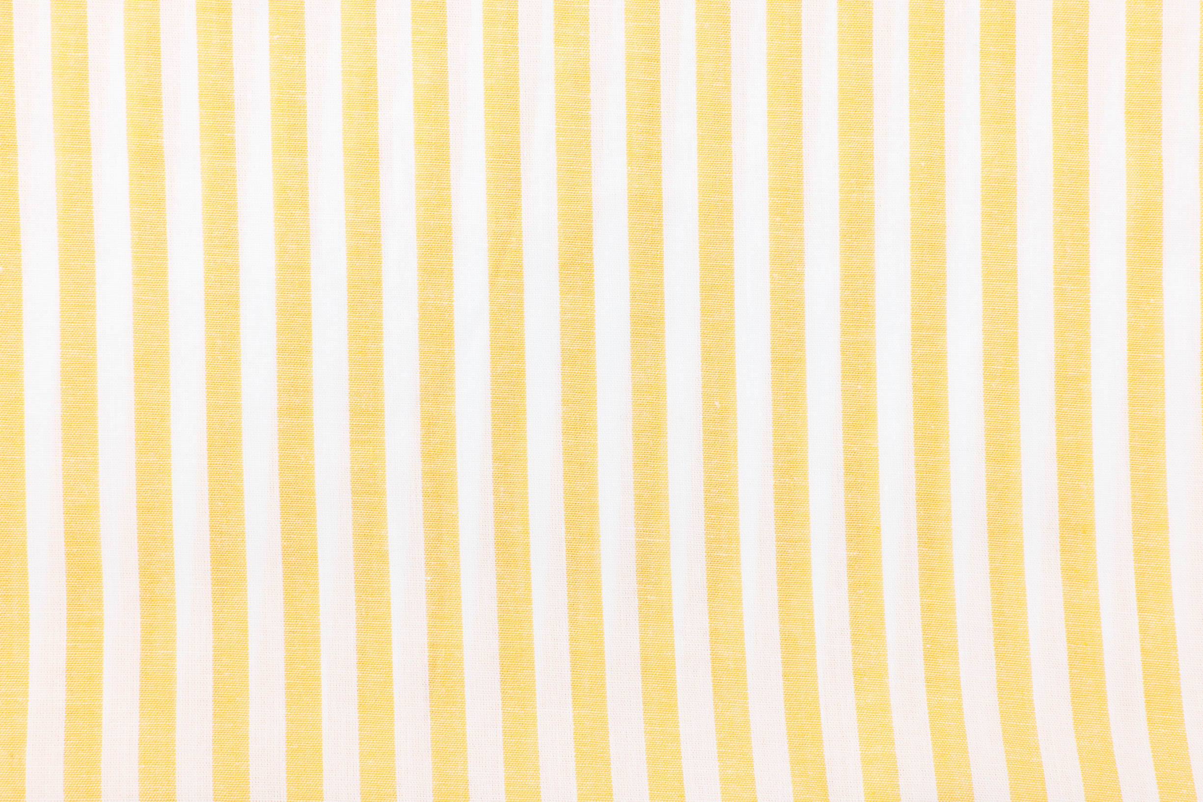 布 黄ストライプ コットン
