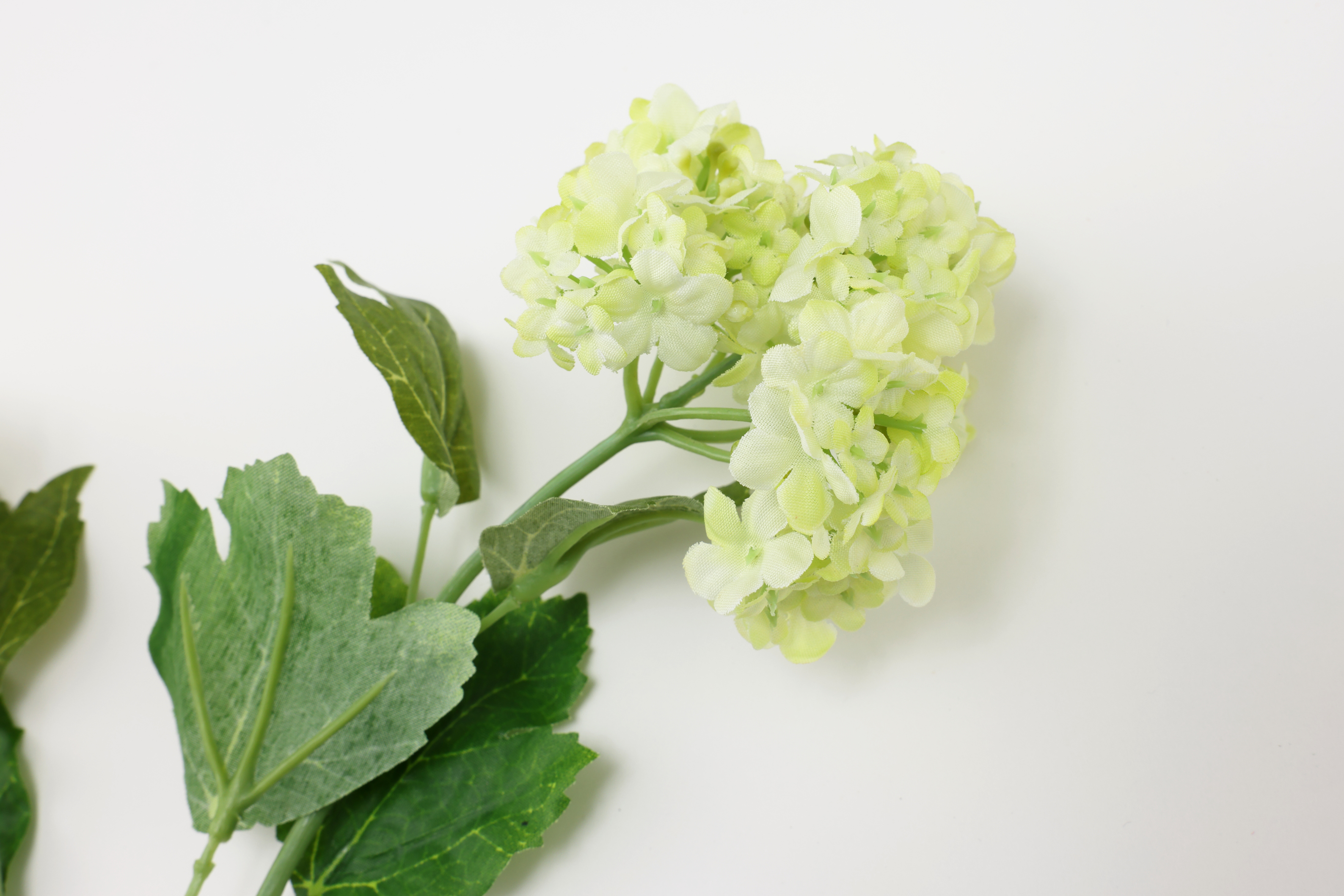 フェイクグリーン