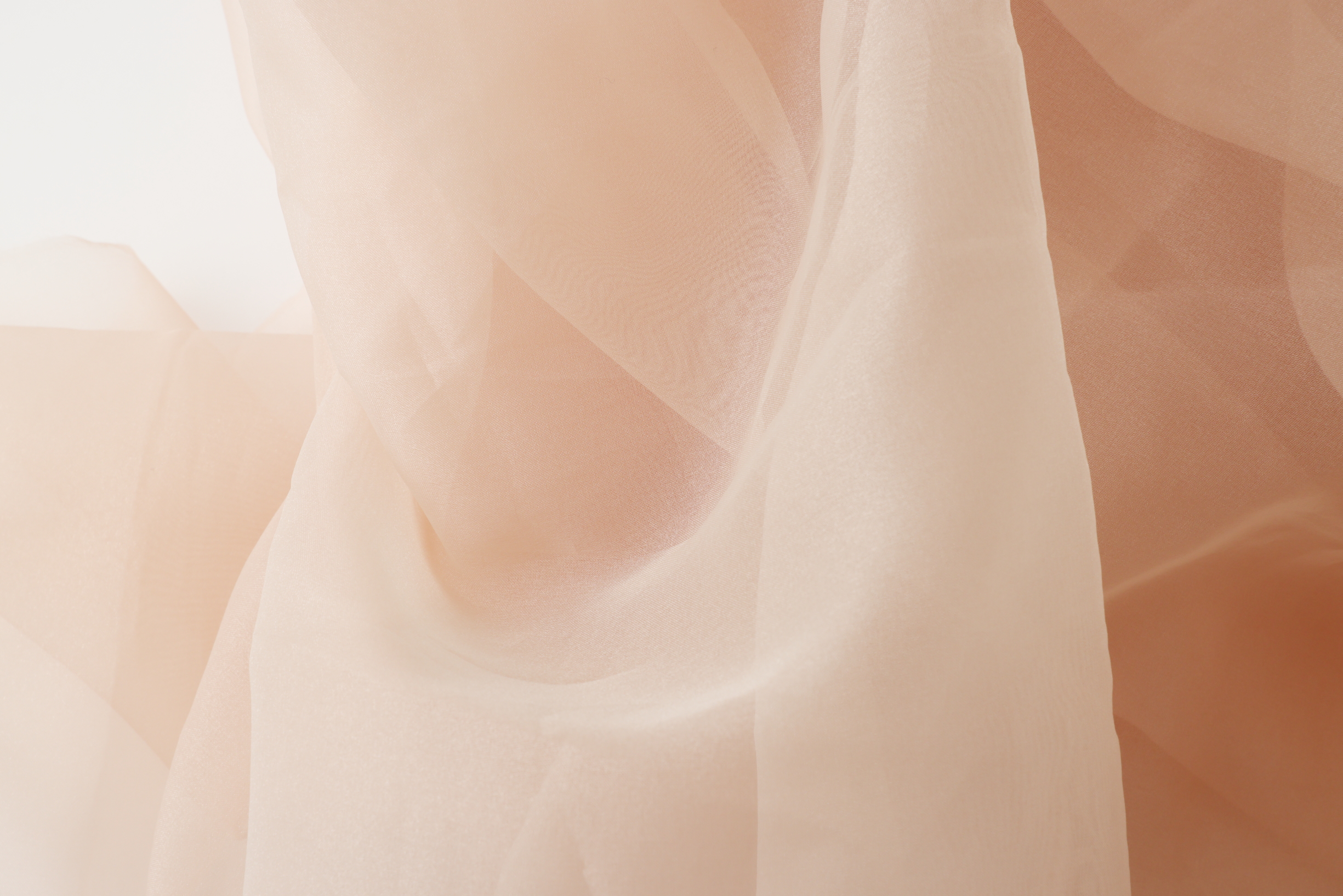 布 ベージュ オーガンジー