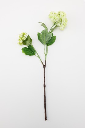 フェイクグリーン