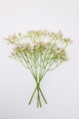 フェイクグリーン