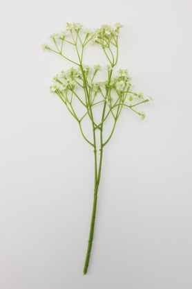 フェイクグリーン